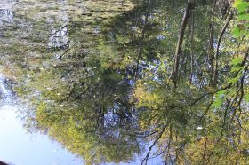 IMG_1017.JPG