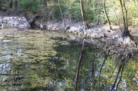 IMG_1018.JPG